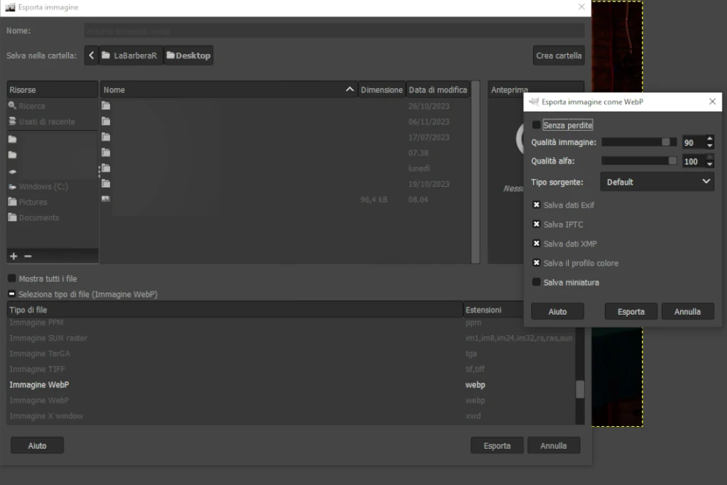 Esportazione file in formato webP tramite GIMP