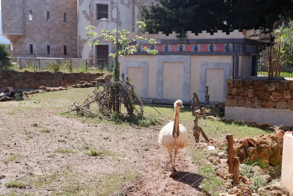 Nello zoo del Bioparco di Sicilia