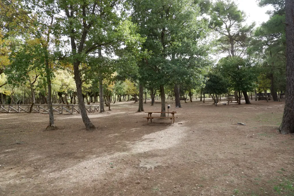 Area pic nic con tavoli e panche nel bosco della Ficuzza