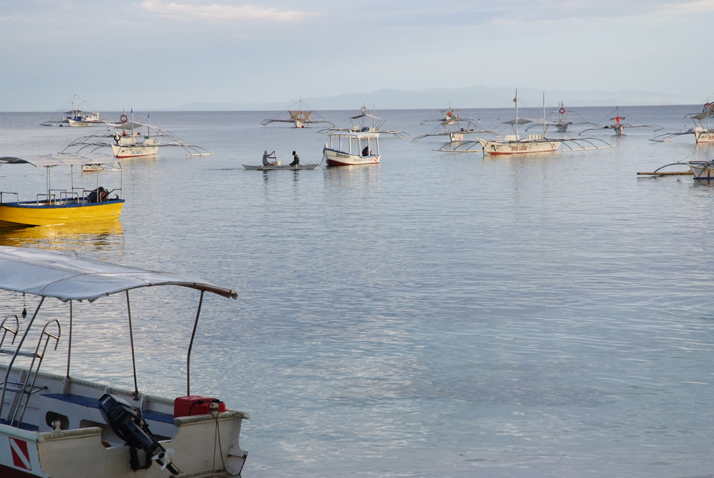 Spiagge di Bohol