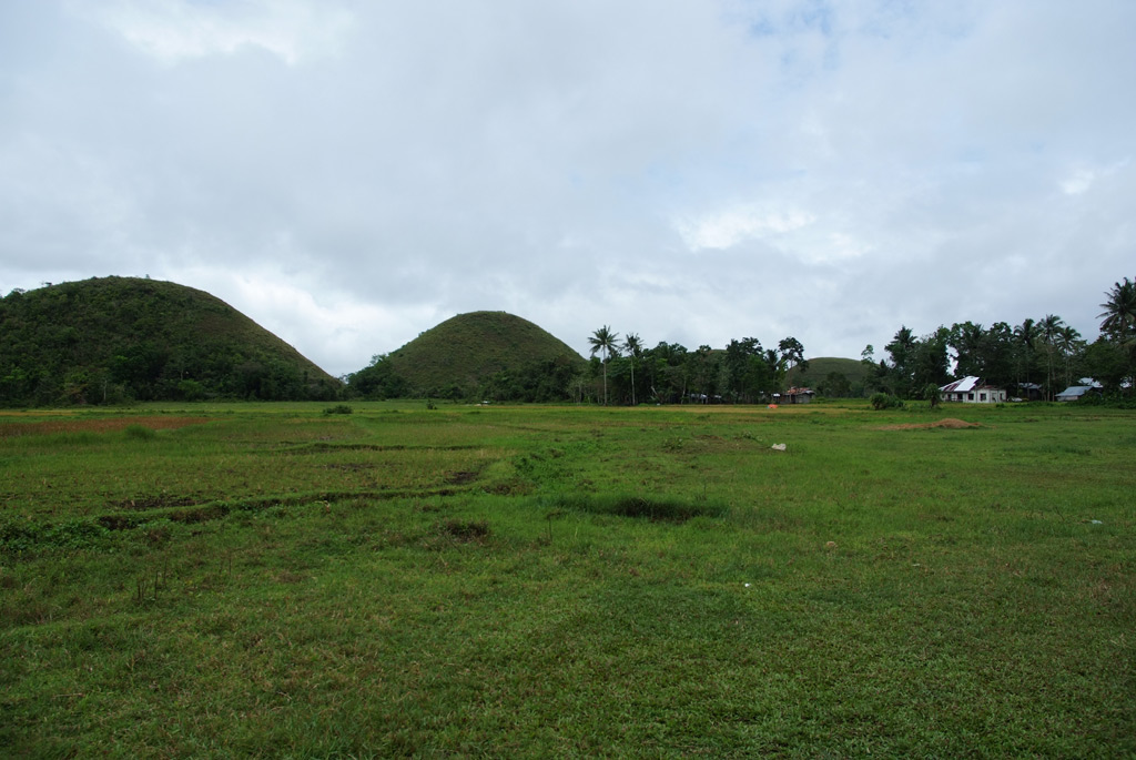 Le Chocolate Hills di Bohol