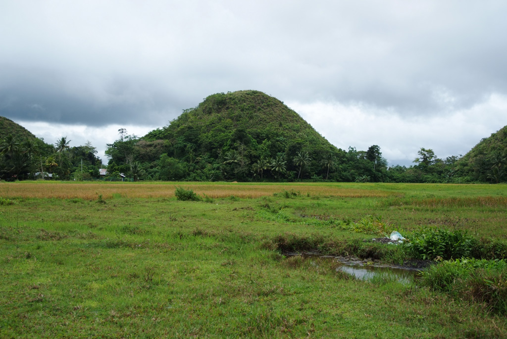 Le Chocolate Hills di Bohol