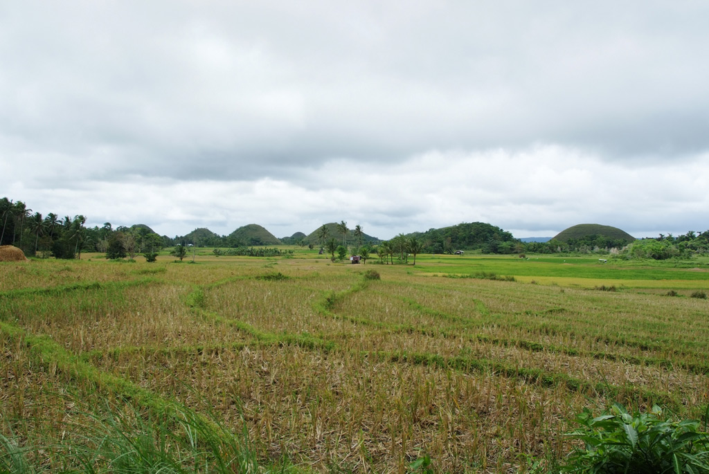 Le Chocolate Hills di Bohol