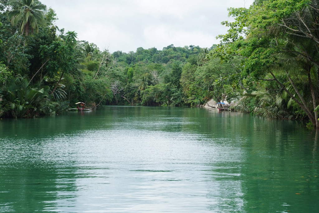 Tour con pranzo in battello sul fiume Loboc