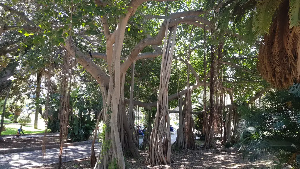 Scorci del Giardino Inglese 