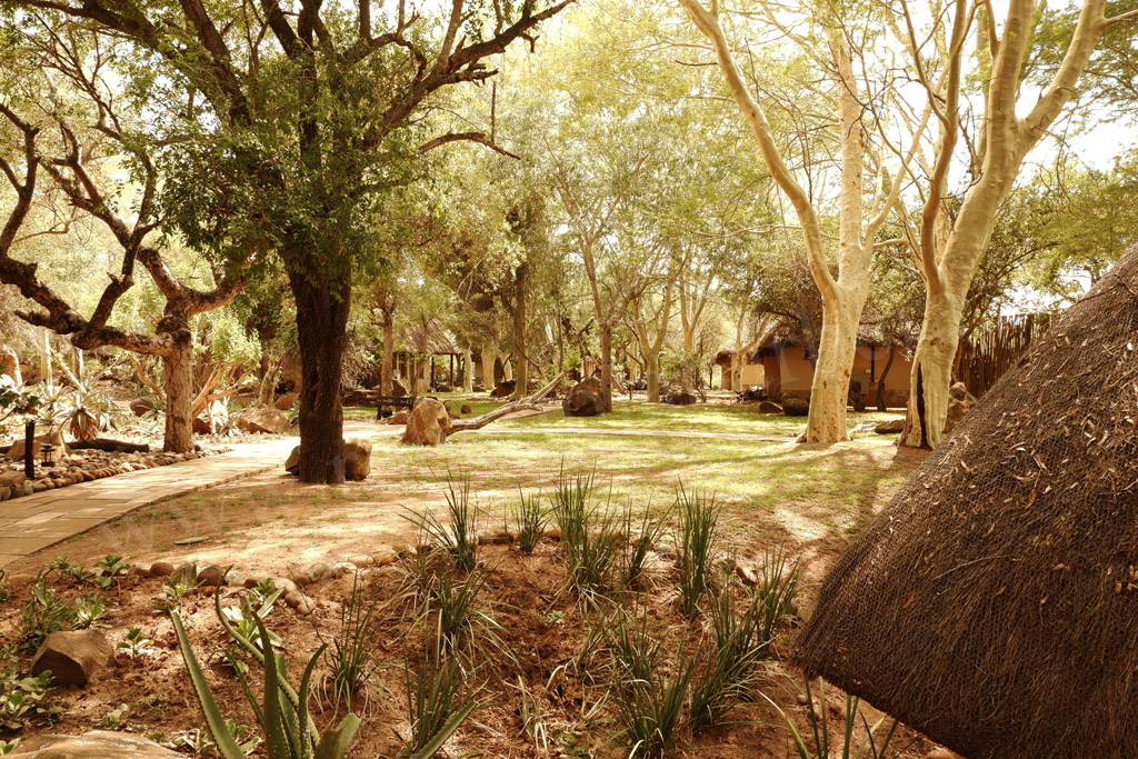 Chalet del Thornybush Waterside Lodge - Kruger Park