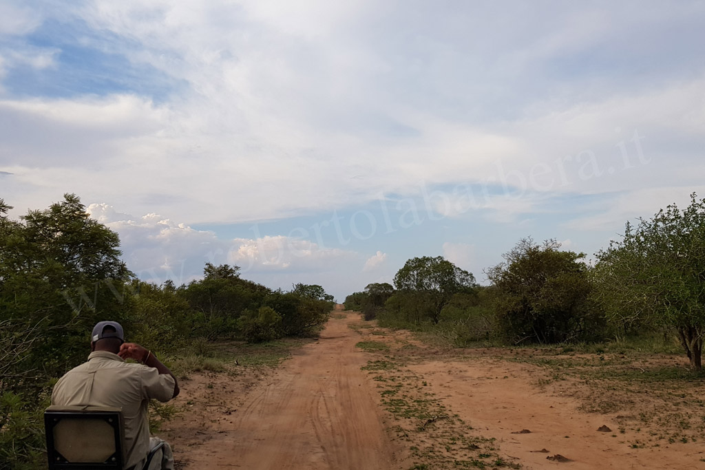 Kruger Park. Paesaggio