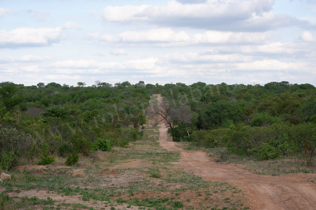 Kruger Park. Paesaggio