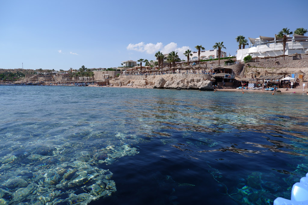 Sharm El Sheikh. La barriera corallina dal resort