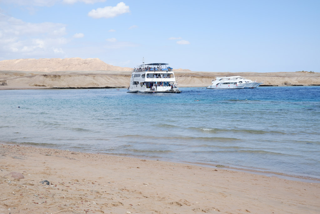 Sharm El Sheikh. Escursione presso barriera corallina di Ras Mohammed