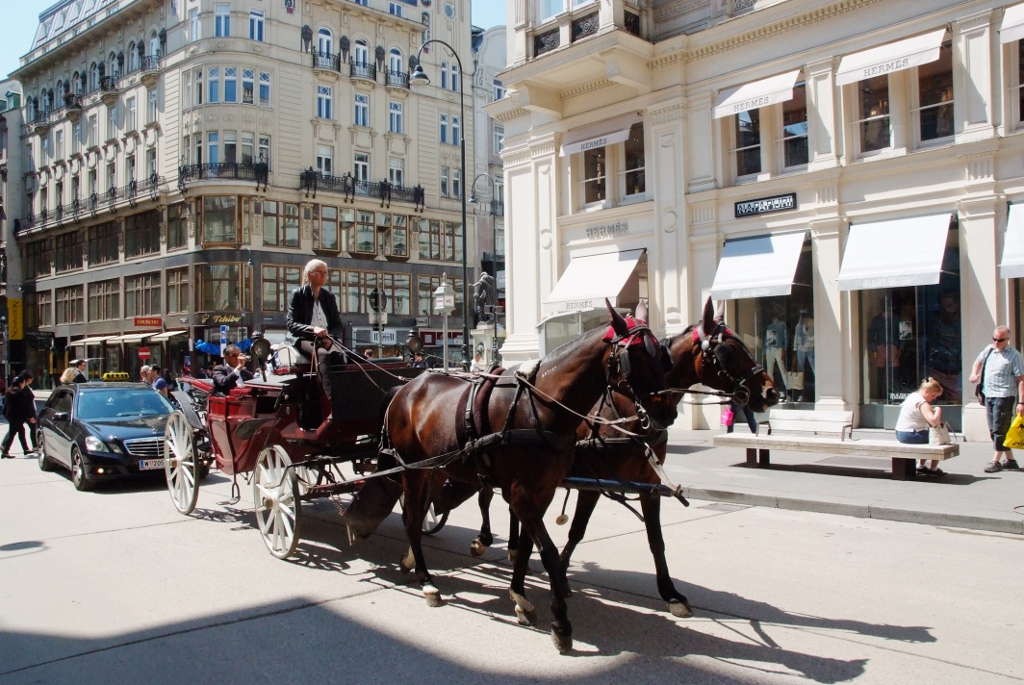 Vienna. Calessi per le vie del centro